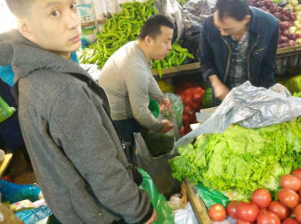 十年堅持，新鮮直達——哈爾濱柱子精準蔬菜配送，守護您的餐桌每一天